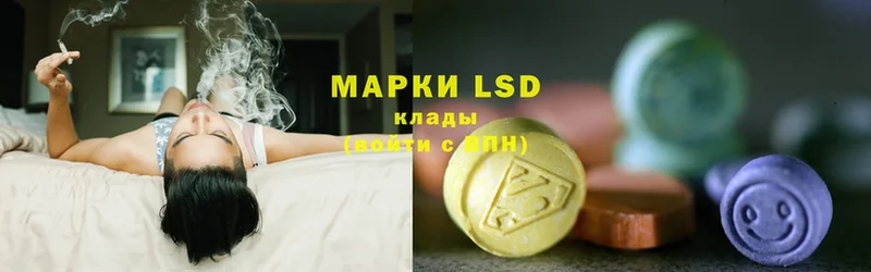 ЛСД экстази ecstasy  где купить наркоту  Малаховка 